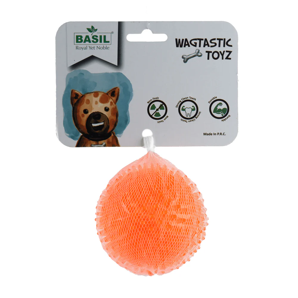 Basil Teething Ring Chew Toy and Squeaky Rubber Ball Toy Combo for Dogs - Image 5