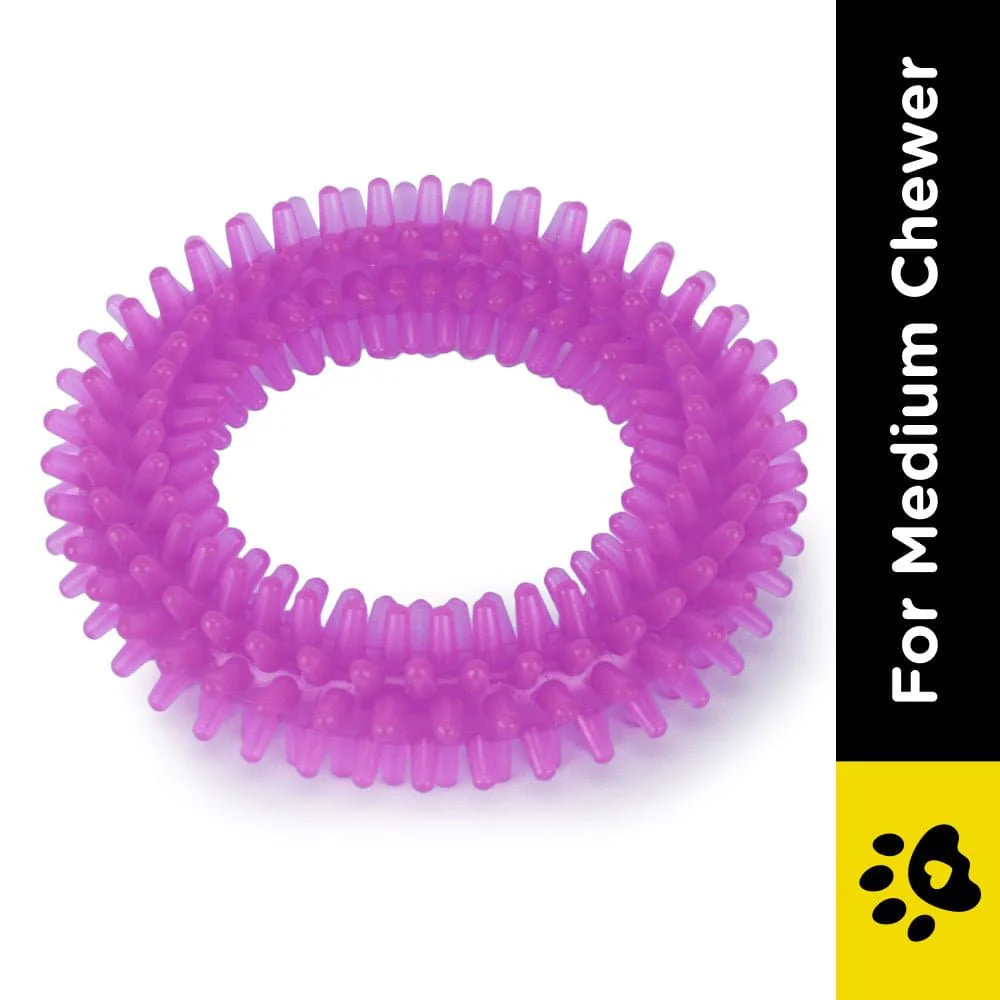 Basil Teething Ring Chew Toy for Dogs | For Medium Chewers - Image 2