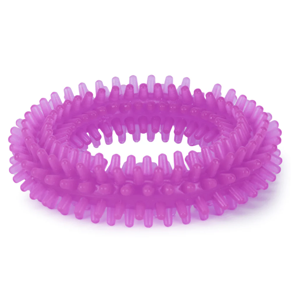 Basil Teething Ring Chew Toy for Dogs | For Medium Chewers - Image 3
