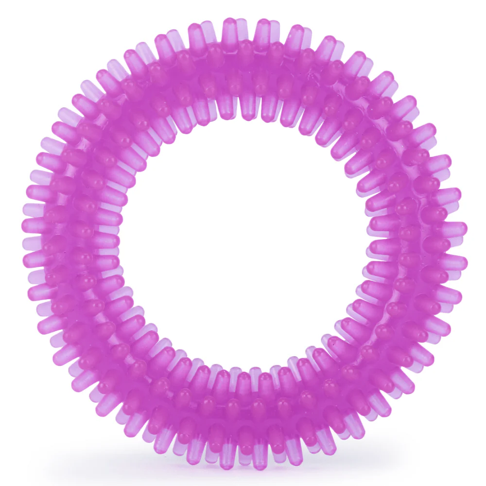 Basil Teething Ring Chew Toy for Dogs | For Medium Chewers - Image 4