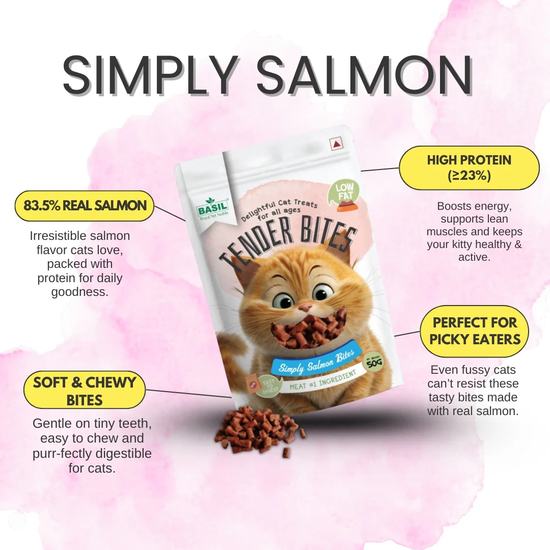 Basil Tender Bites Simply Salmon Cat Treats - Image 4