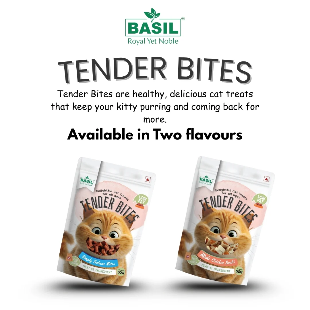 Basil Tender Bites Simply Salmon Cat Treats - Image 6