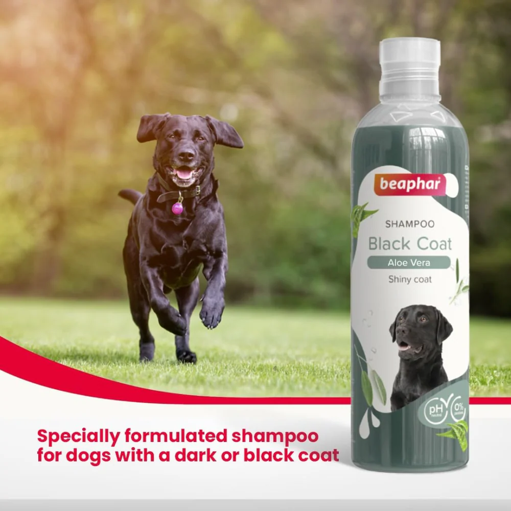 Beaphar Aleo Vera & Herbal Black Coat Shampoo for Dogs - Image 3