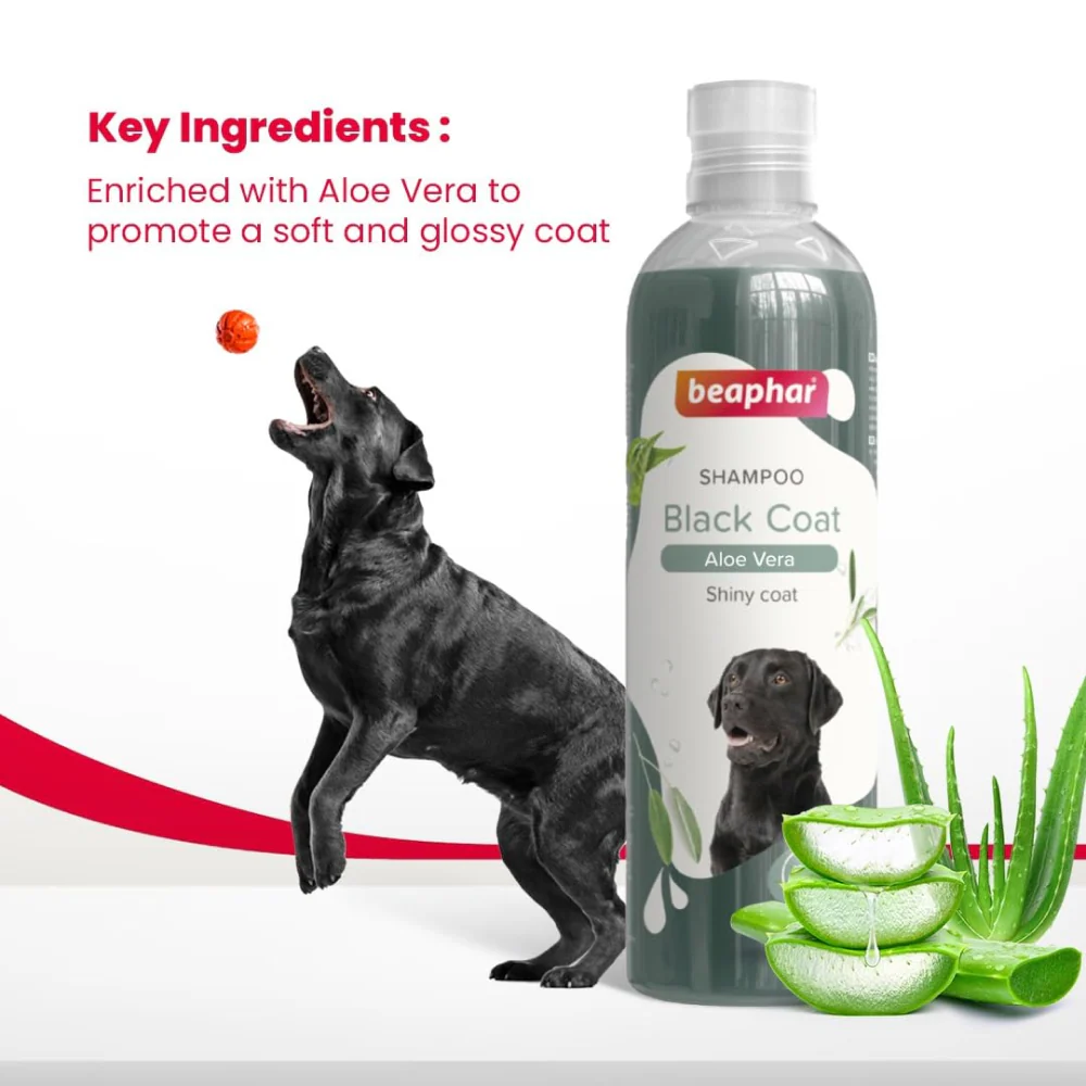 Beaphar Aleo Vera & Herbal Black Coat Shampoo for Dogs - Image 4