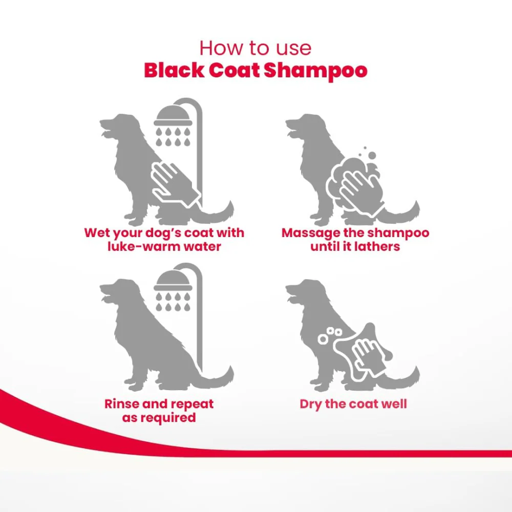 Beaphar Aleo Vera & Herbal Black Coat Shampoo for Dogs - Image 6