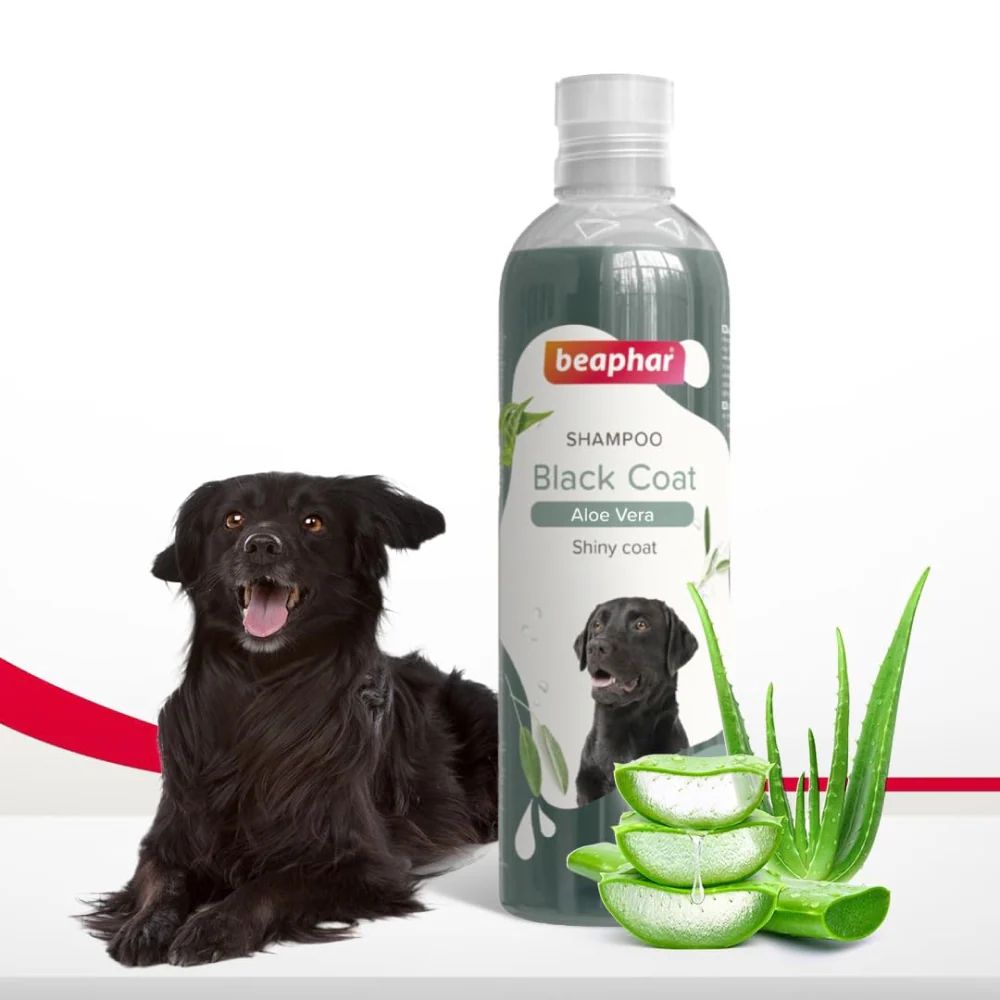 Beaphar Aleo Vera & Herbal Black Coat Shampoo for Dogs - Image 9