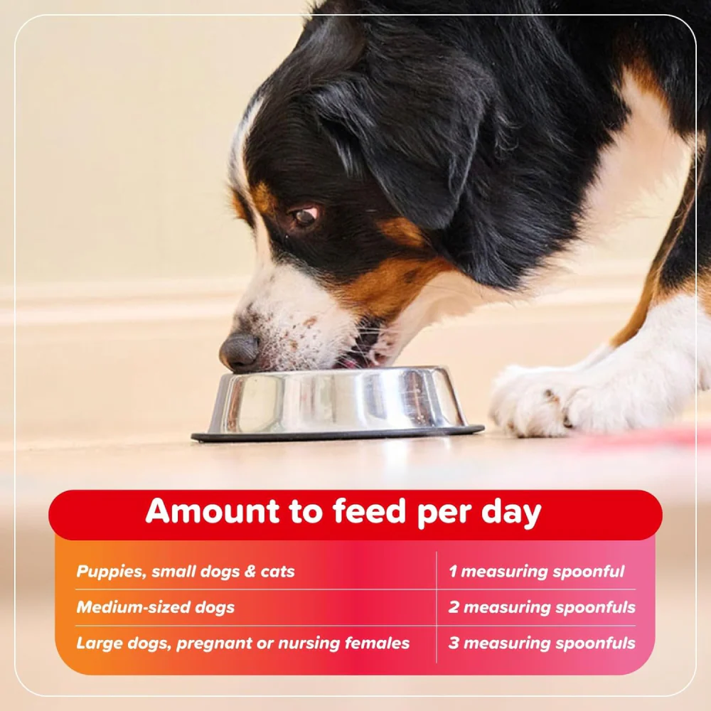 Beaphar Bone Builder Calcium Supplement for Dogs and Cats - Image 4