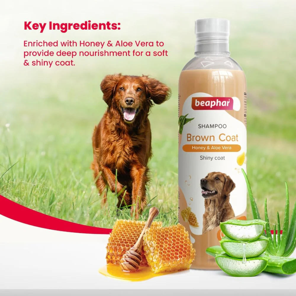 Beaphar Honey & Aloe Vera Herbal Brown Coat Dog Shampoo - Image 2