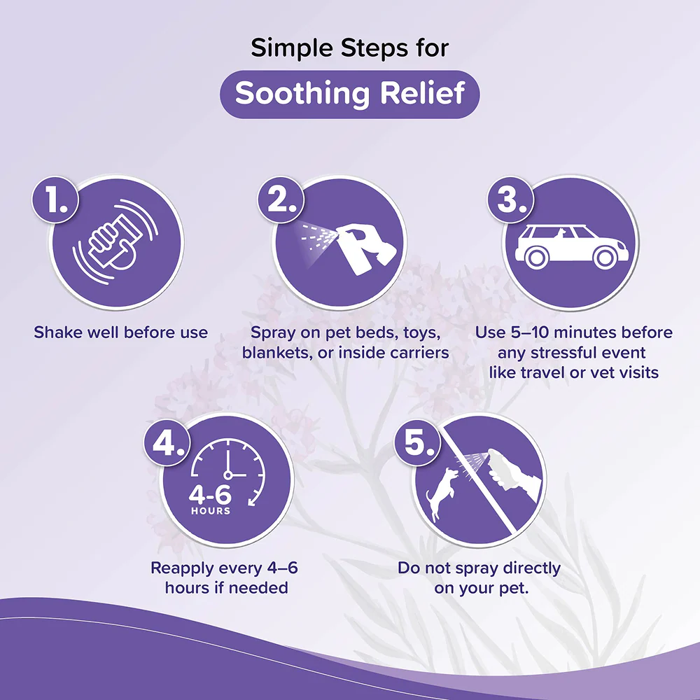Beaphar Calming Home Spray for Dogs and Cats - Image 5