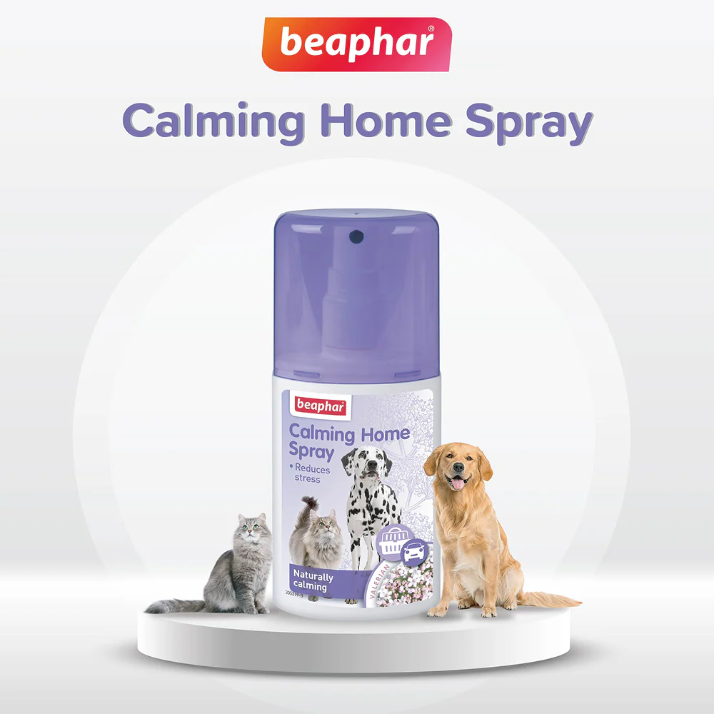 Beaphar Calming Home Spray for Dogs and Cats - Image 6