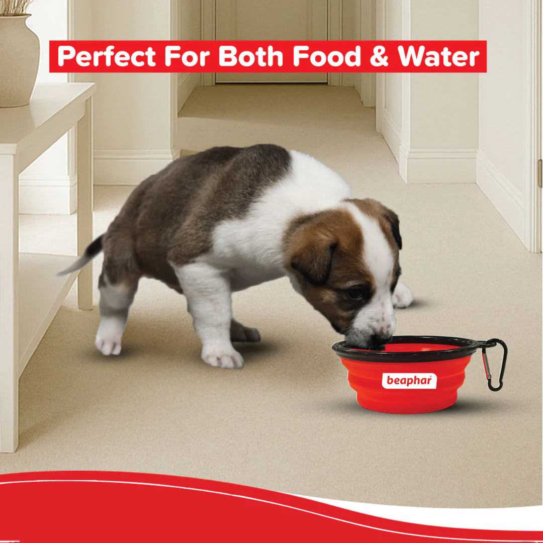 Beaphar Foldable Travel Silicon Bowl for Dogs and Cats (Red) - Image 4