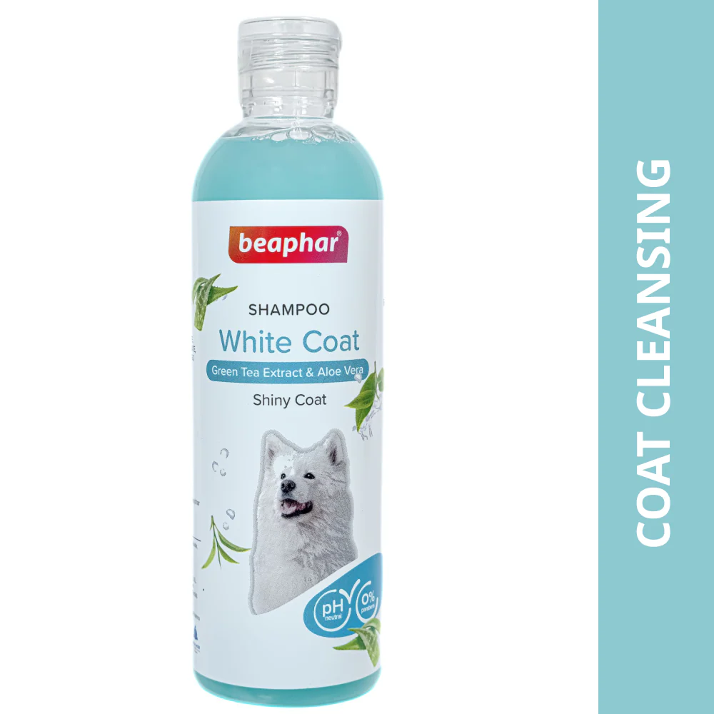 Beaphar Green Tea and Aloe Vera White Coat Shampoo for Dogs - Image 3