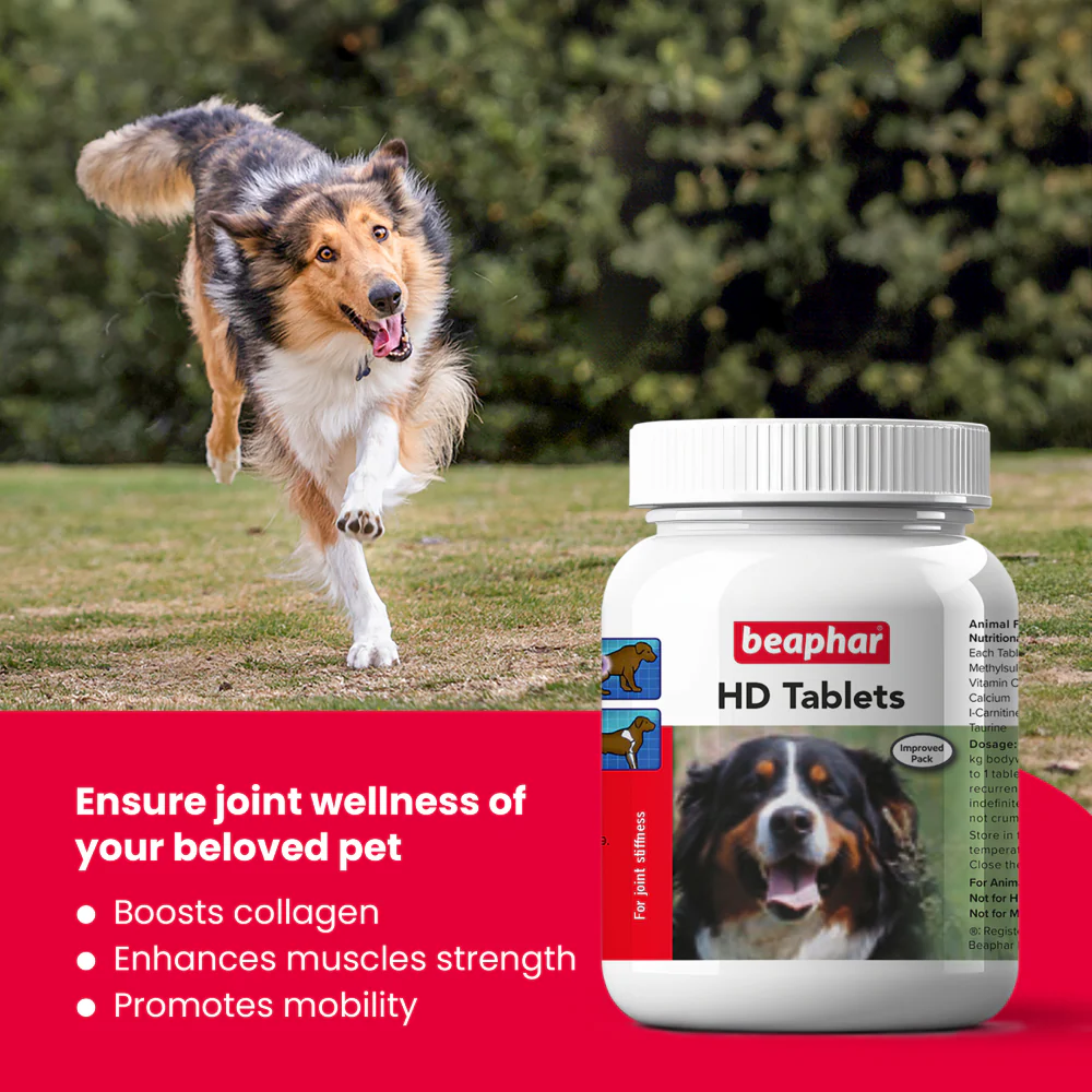 Beaphar HD Hip Dysplasia & Joint Problems Supplement Tablets for Dogs - Image 3