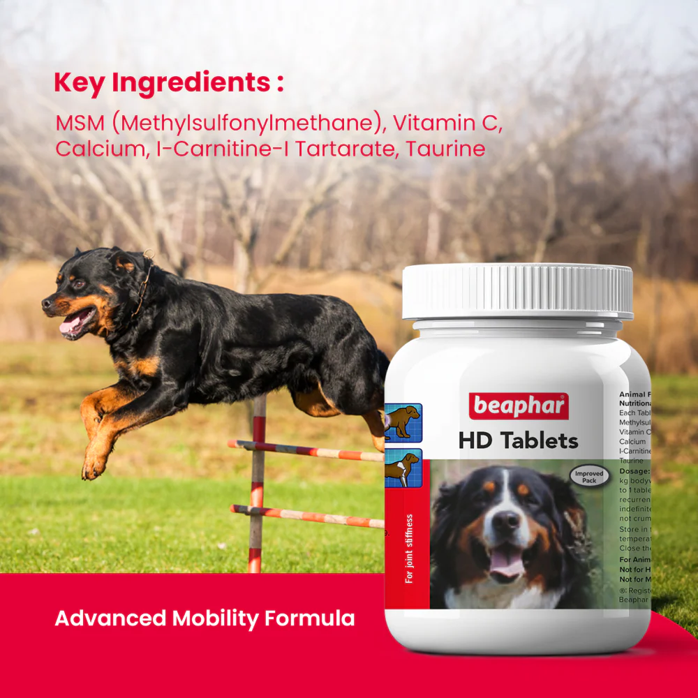 Beaphar HD Hip Dysplasia & Joint Problems Supplement Tablets for Dogs - Image 6