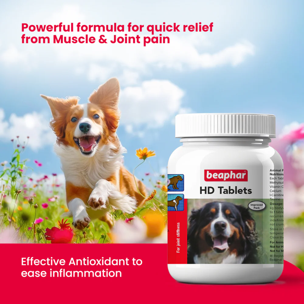Beaphar HD Hip Dysplasia & Joint Problems Supplement Tablets for Dogs - Image 7