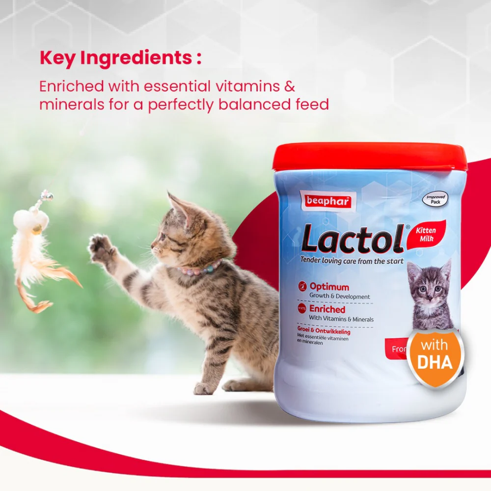Beaphar Lactol Milk Replacement Powder for Kitten - Image 2