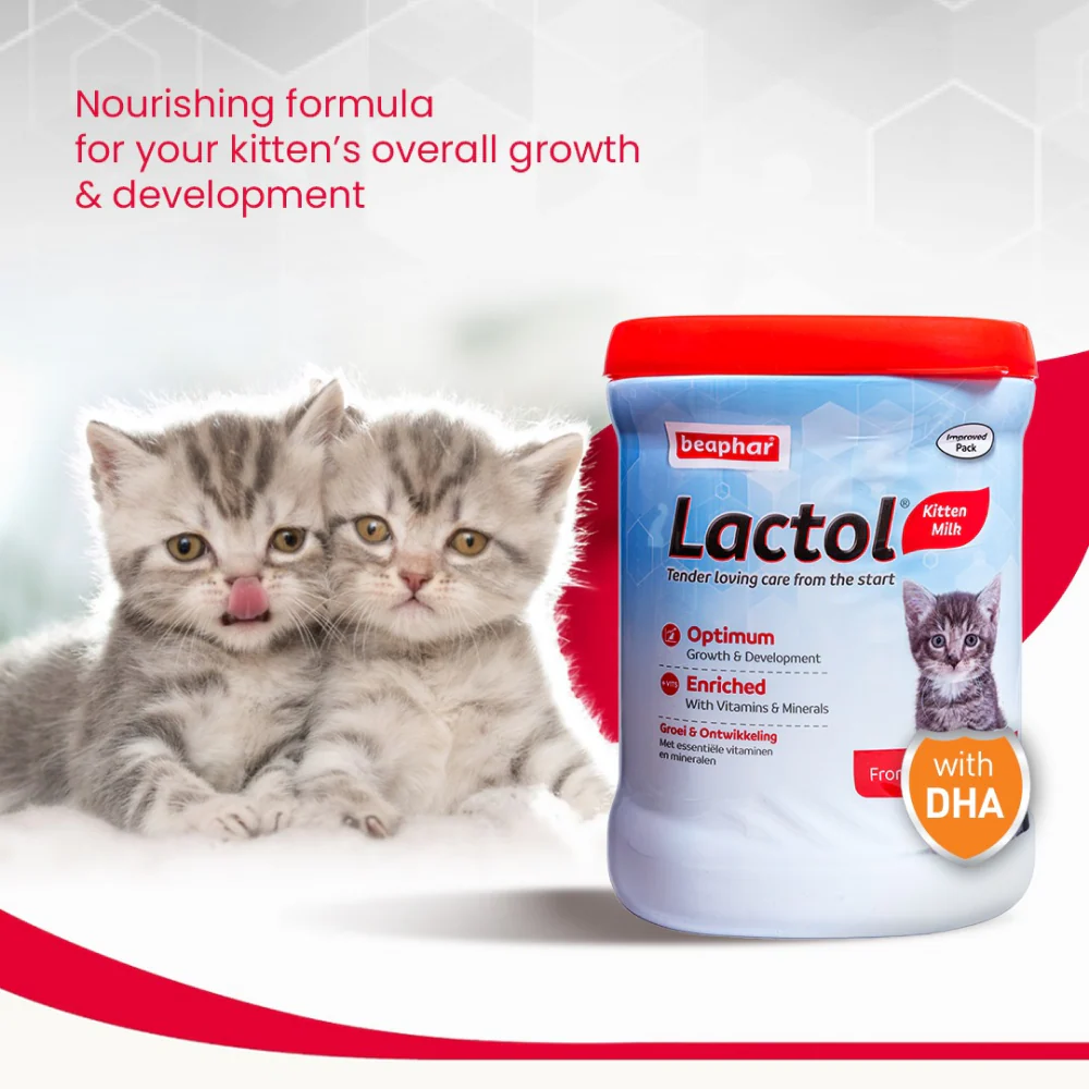 Beaphar Lactol Milk Replacement Powder for Kitten - Image 3
