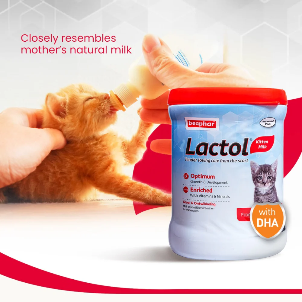 Beaphar Lactol Milk Replacement Powder for Kitten - Image 4