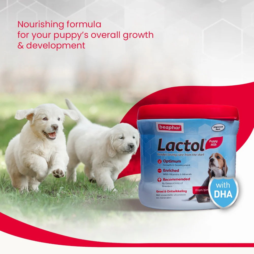 Beaphar Lactol New Born Milk Replacement Powder for Puppies - Image 3