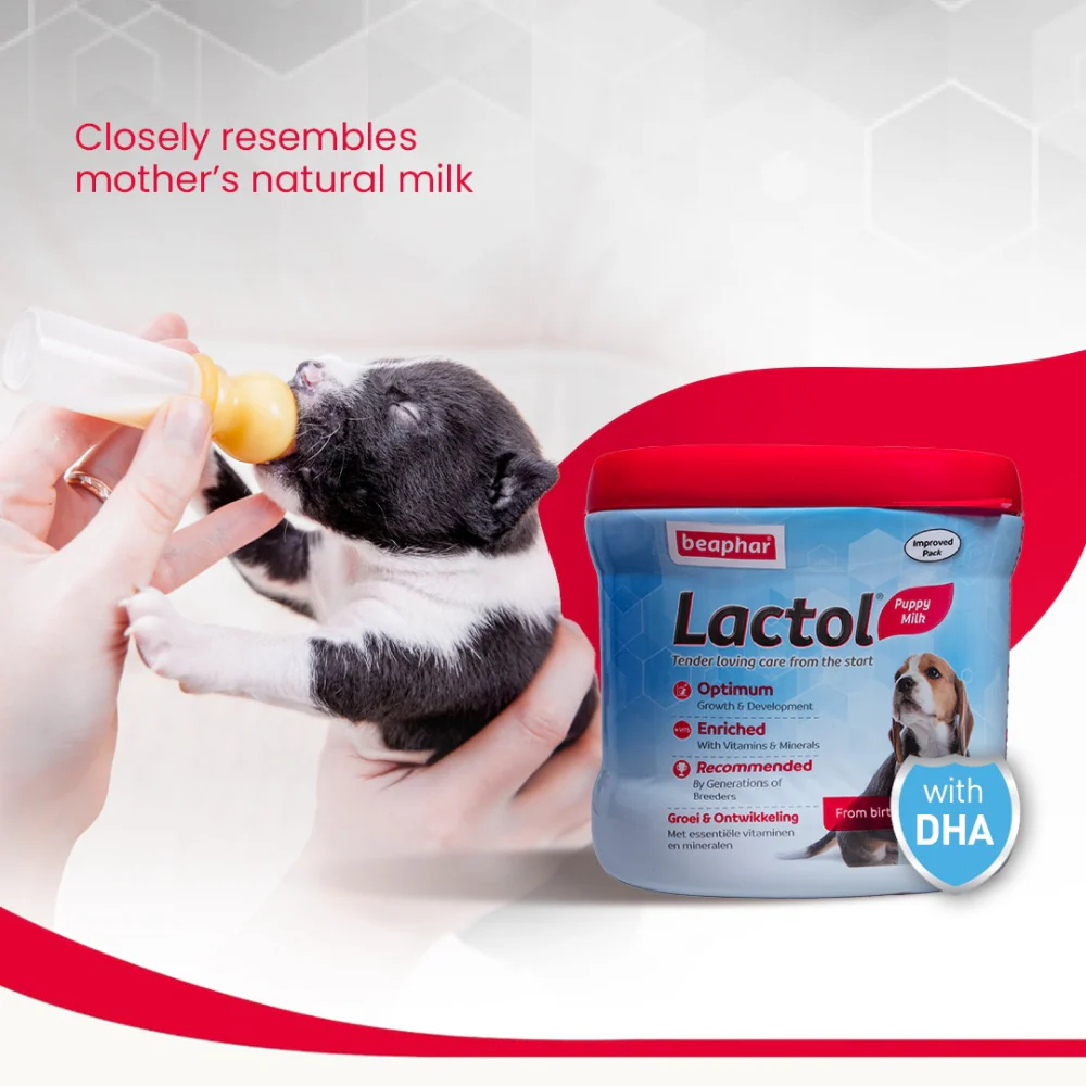 Beaphar Lactol New Born Milk Replacement Powder for Puppies - Image 4