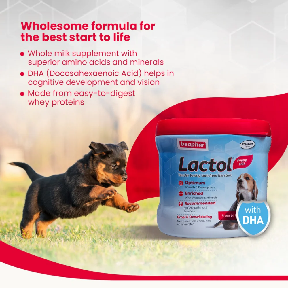 Beaphar Lactol New Born Milk Replacement Powder for Puppies - Image 5
