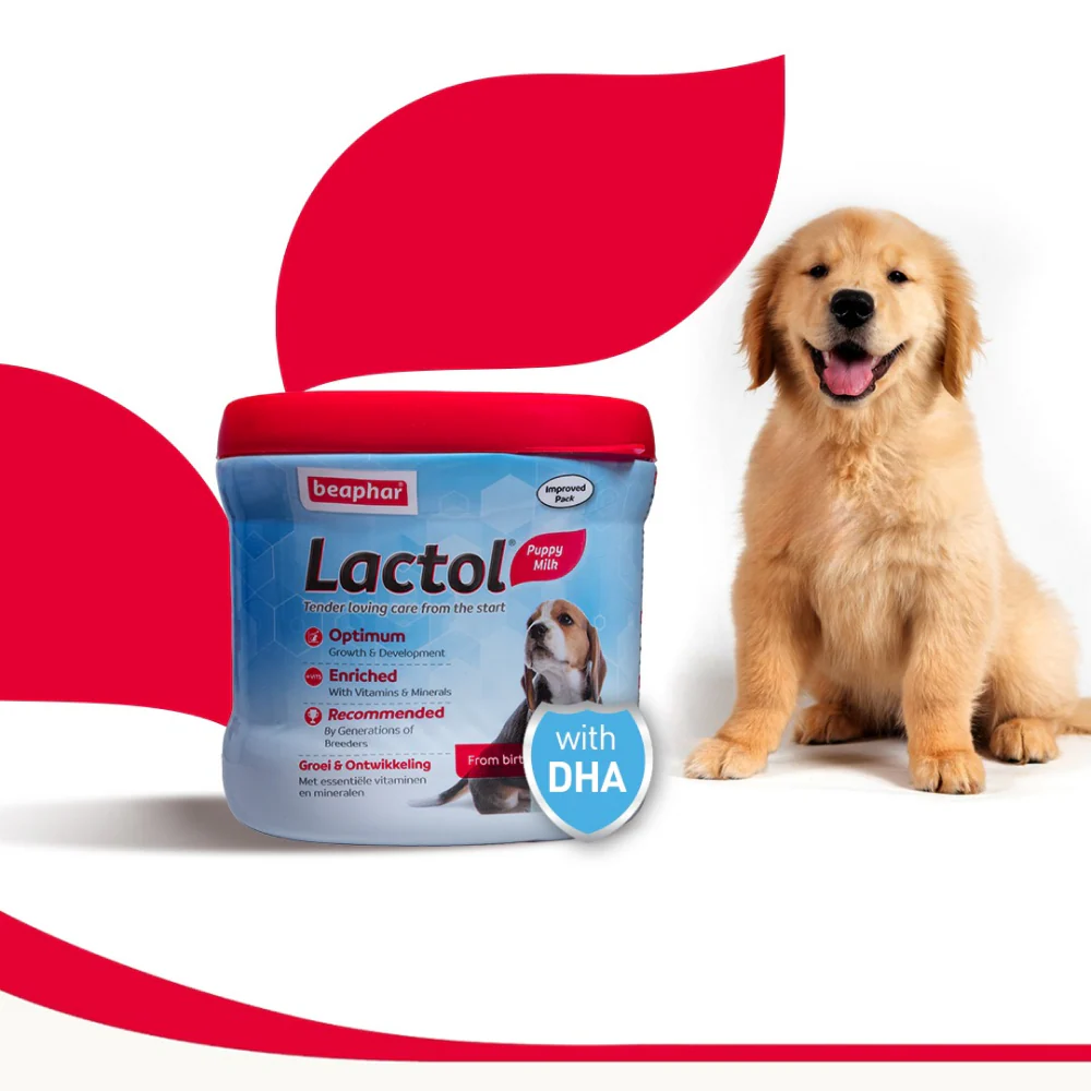 Beaphar Lactol New Born Milk Replacement Powder for Puppies - Image 7