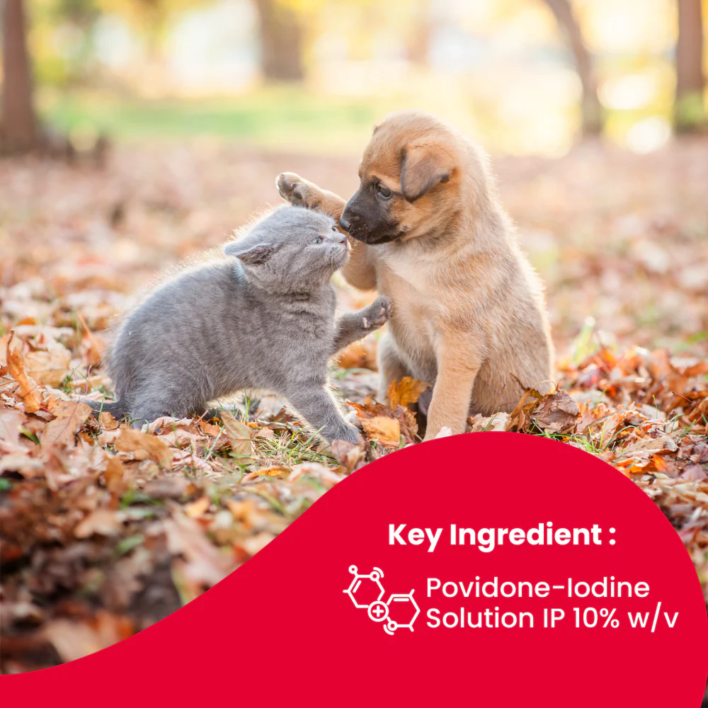 Beaphar Povidone Iodine Wound Healing Spray for Dogs and Cats - Image 3