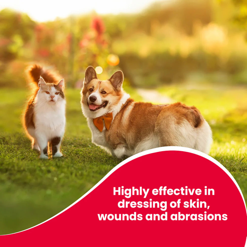 Beaphar Povidone Iodine Wound Healing Spray for Dogs and Cats - Image 5