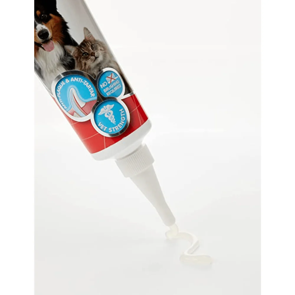 Beaphar Tooth Gel for Dogs and Cats - Image 2