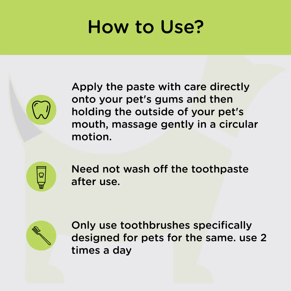M Pets Toothpaste for Dogs (Mint) - Image 2