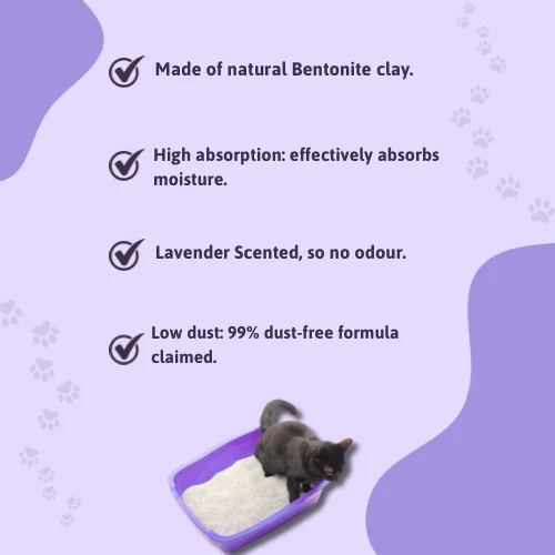 BearHugs Lavender Scented Bentonite Cat Litter - Image 4