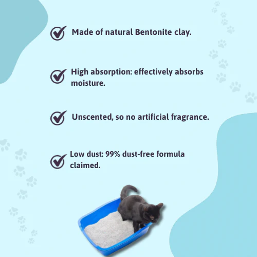 BearHugs Unscented Bentonite Cat Litter - Image 5