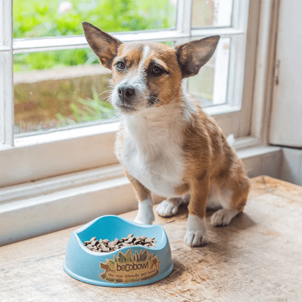 Beco Bowl for Dogs (Blue) - Image 2