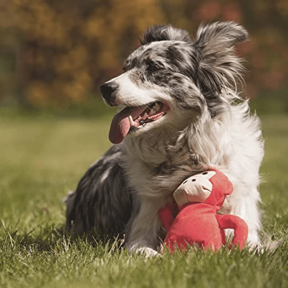 Beco Monkey Shaped Plush Toy for Dogs - Image 4