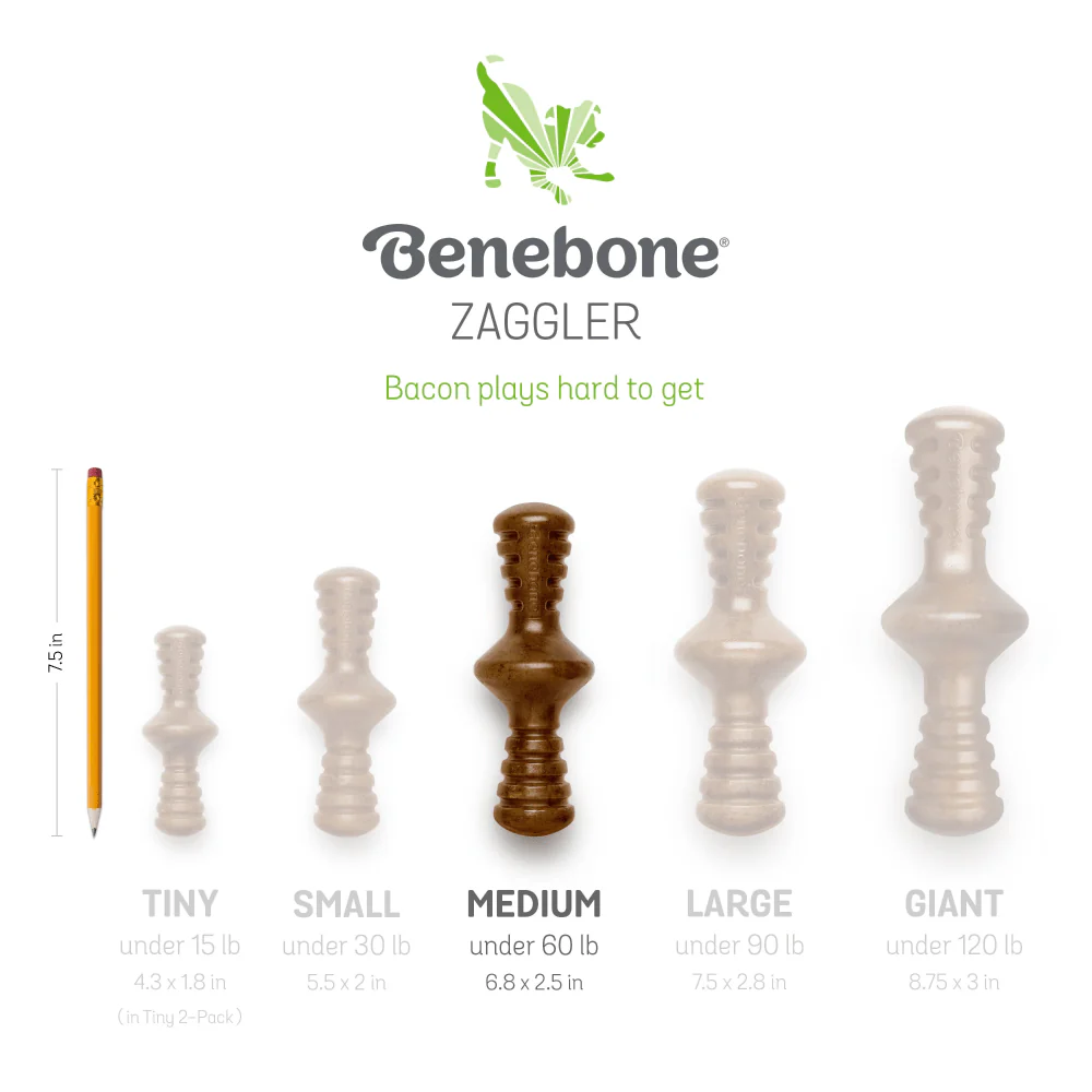 Benebone Bacon Butter Flavored Zaggler Rolling Chew Toy for Dogs - Image 4