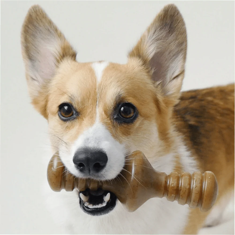 Benebone Bacon Butter Flavored Zaggler Rolling Chew Toy for Dogs - Image 6