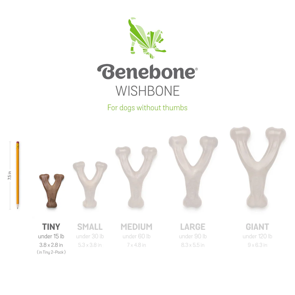 Benebone Bacon Flavored Dental and Wishbone Chew Toys for Dogs - Image 3