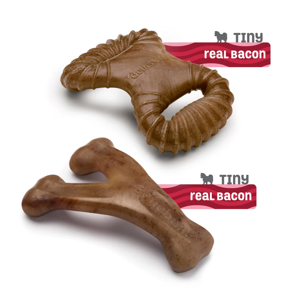 Benebone Bacon Flavored Dental and Wishbone Chew Toys for Dogs - Image 6
