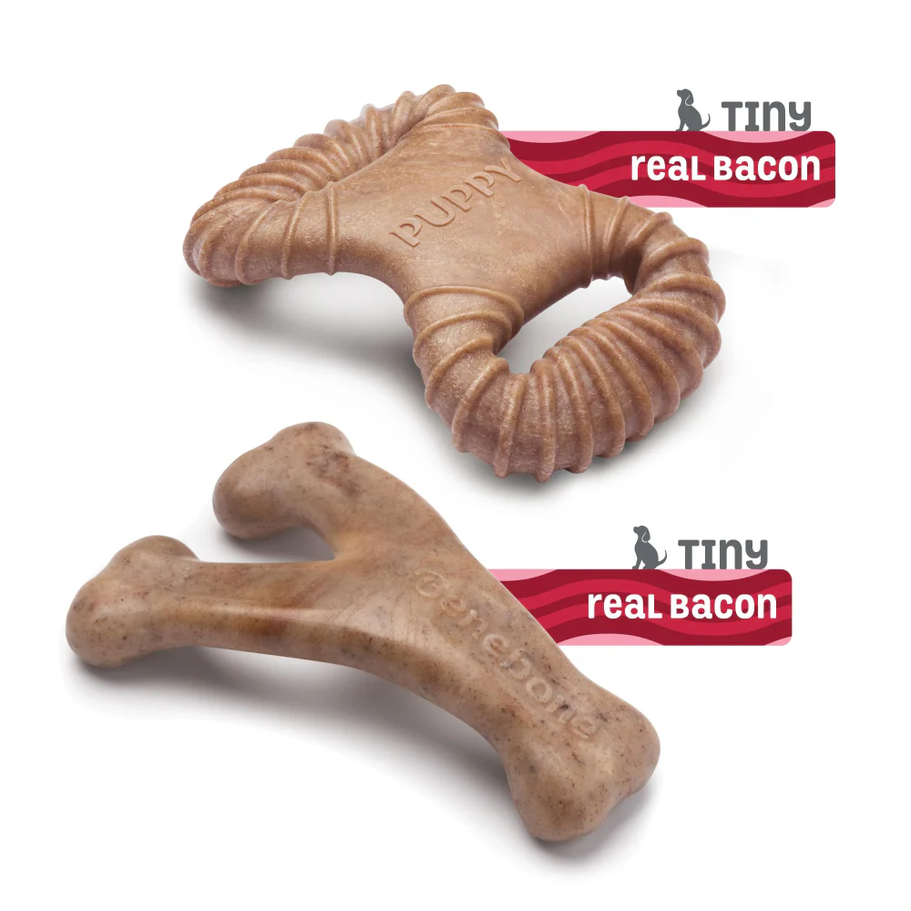 Benebone Bacon Flavored Dental and Wishbone Chew Toys for Puppy - Image 3