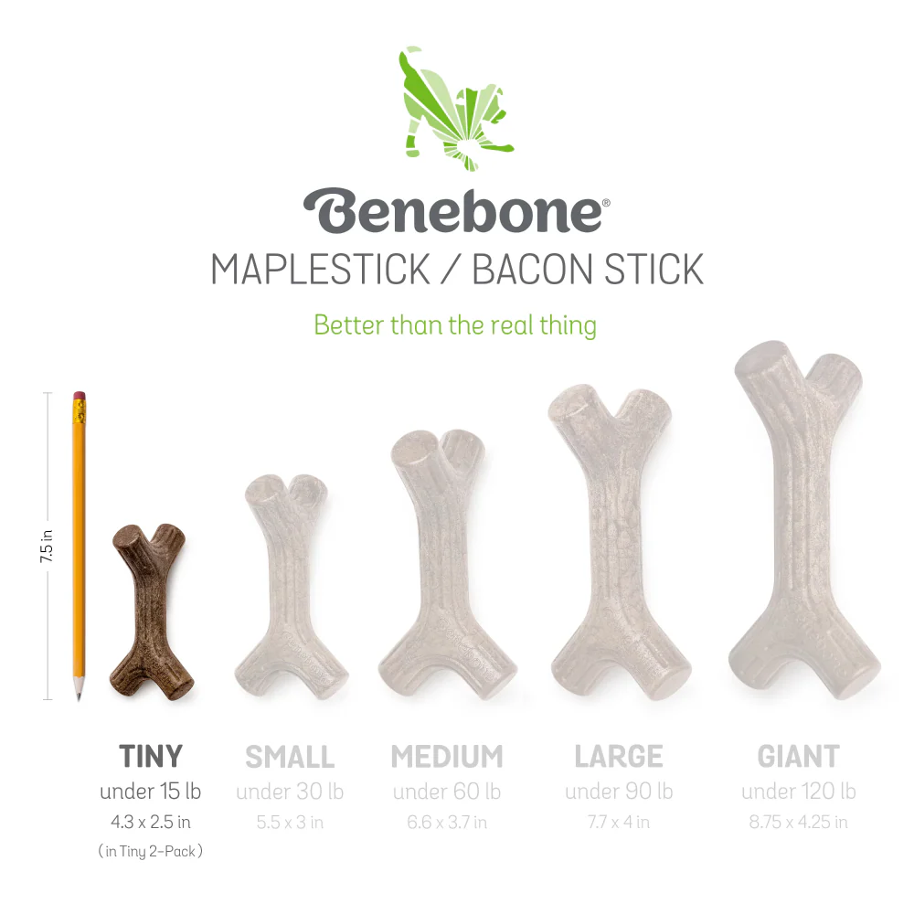 Benebone Bacon Flavored Maplestick and Zaggler Chew Toys for Dogs - Image 3