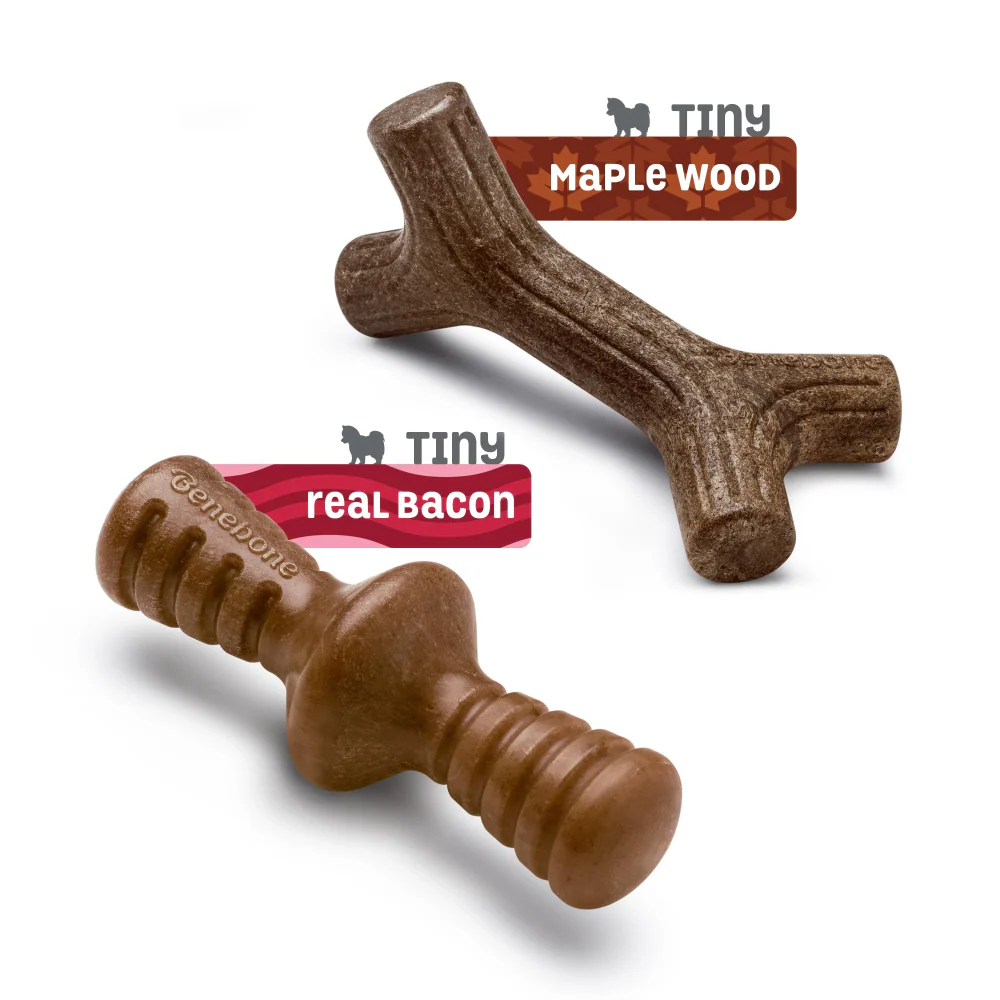 Benebone Bacon Flavored Maplestick and Zaggler Chew Toys for Dogs - Image 4