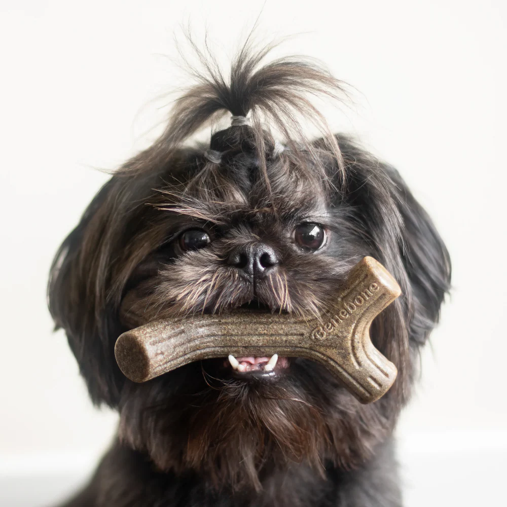 Benebone Bacon Flavored Maplestick and Zaggler Chew Toys for Dogs - Image 5