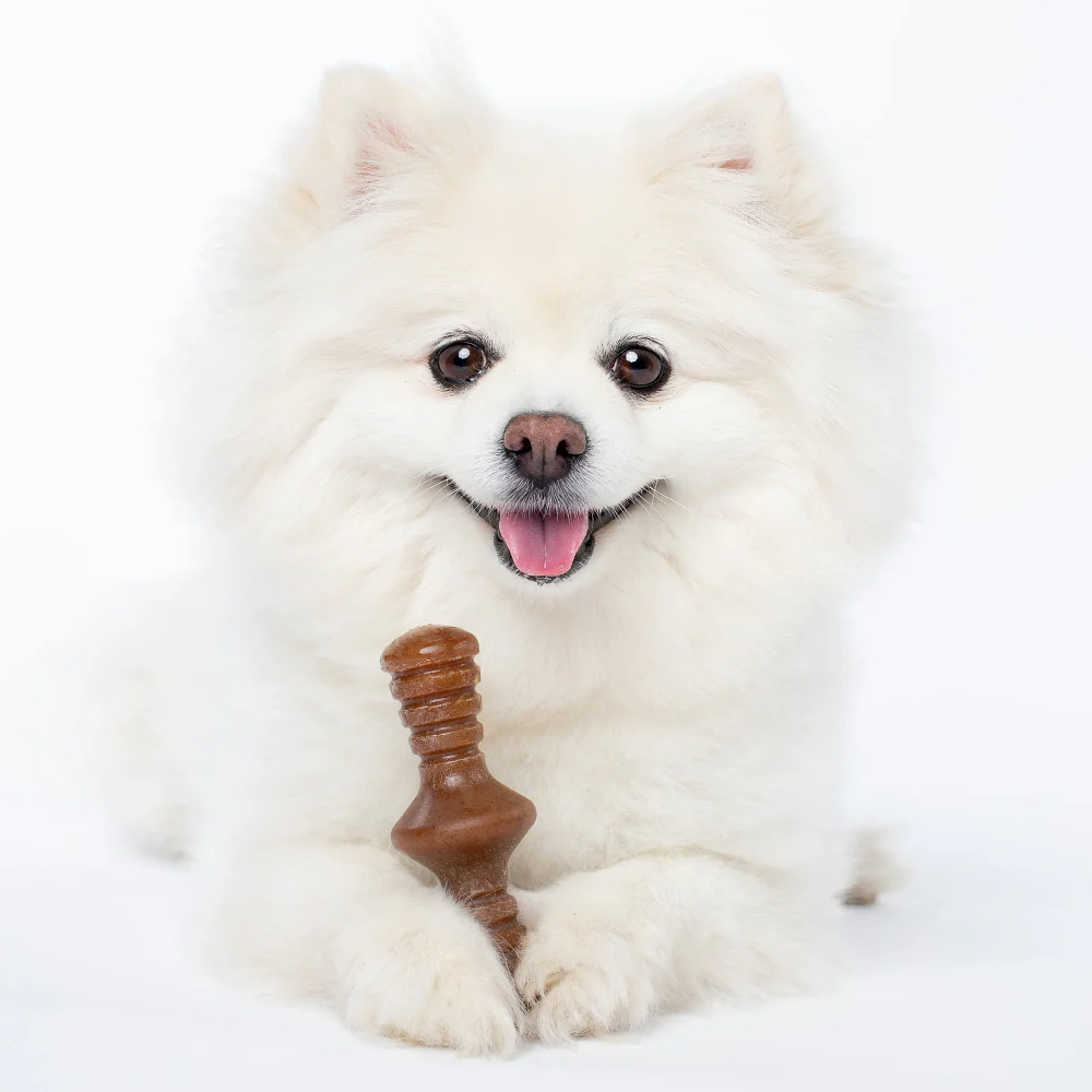 Benebone Bacon Flavored Maplestick and Zaggler Chew Toys for Dogs - Image 6
