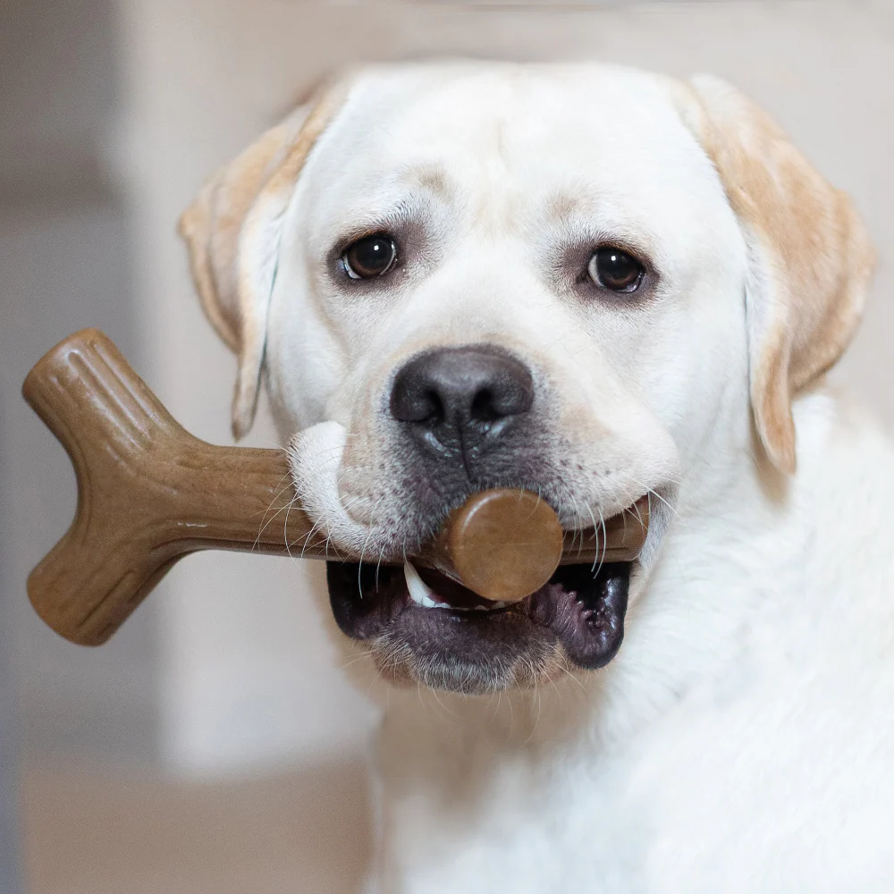 Benebone Bacon Flavored Stick Chew Toy for Dogs - Image 3