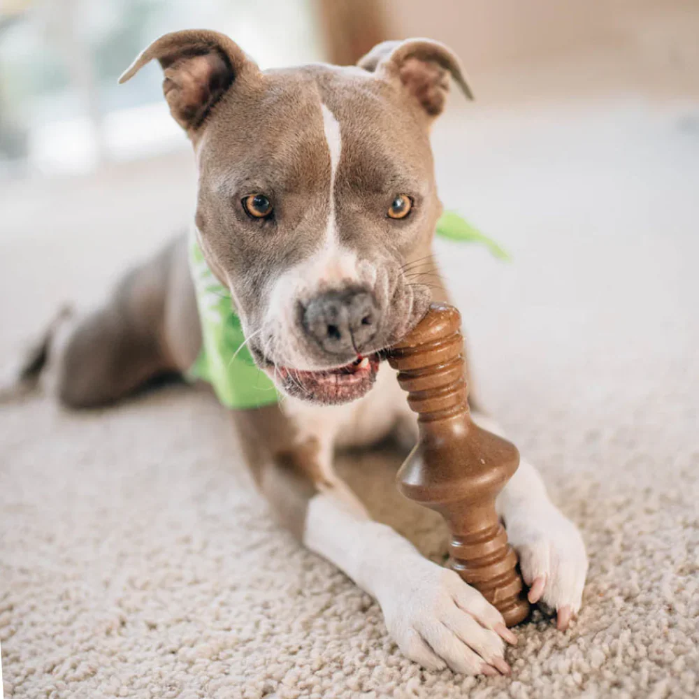 Benebone Bacon Flavored Zaggler Rolling Chew Toy for Dogs - Image 3