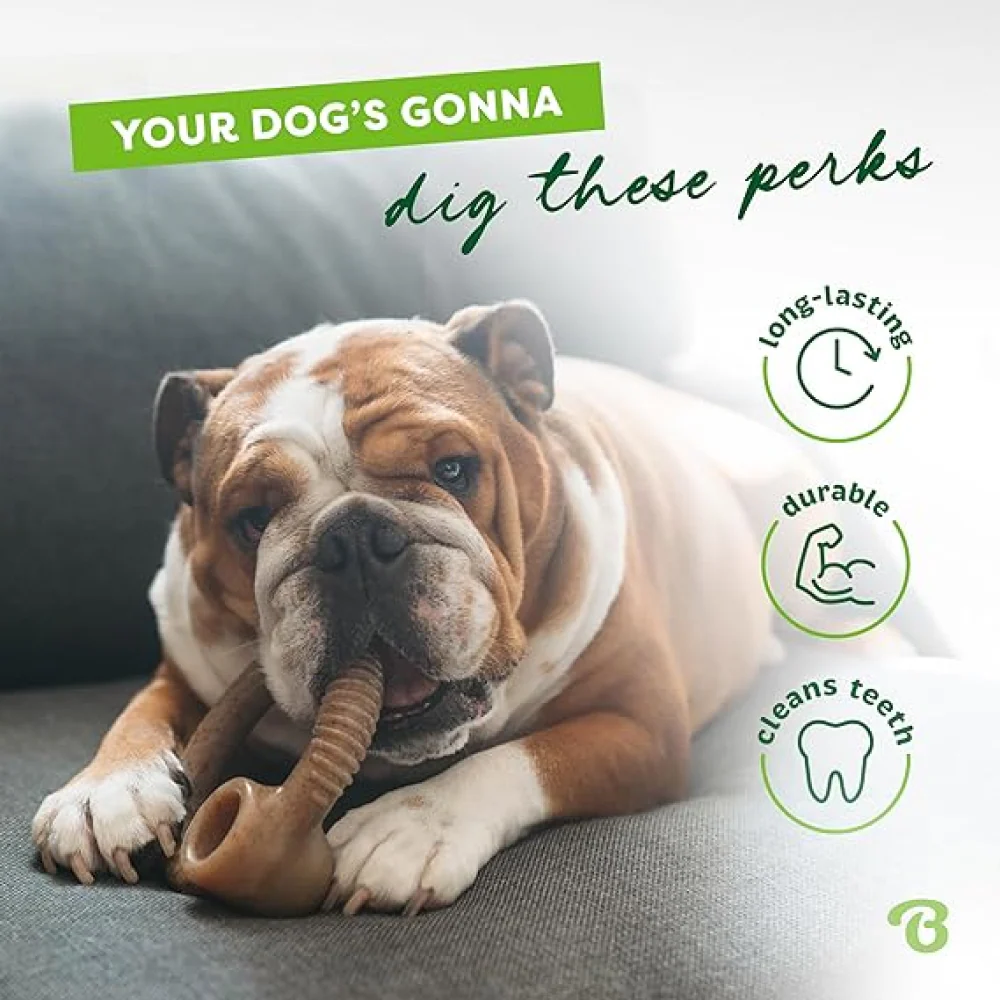 Benebone Bacon Flavoured Ring Bone Chew Toy for Dogs - Image 3