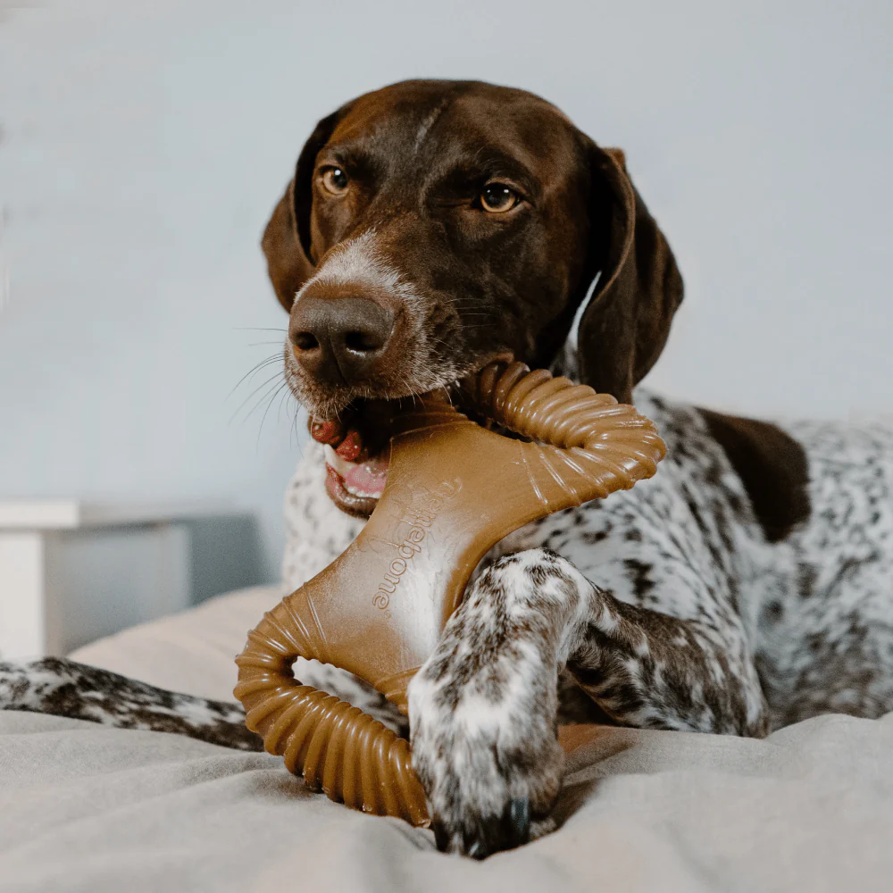 Benebone Peanut Butter Flavored Dental Chew Toy for Dogs | For Aggressive Chewers - Image 7