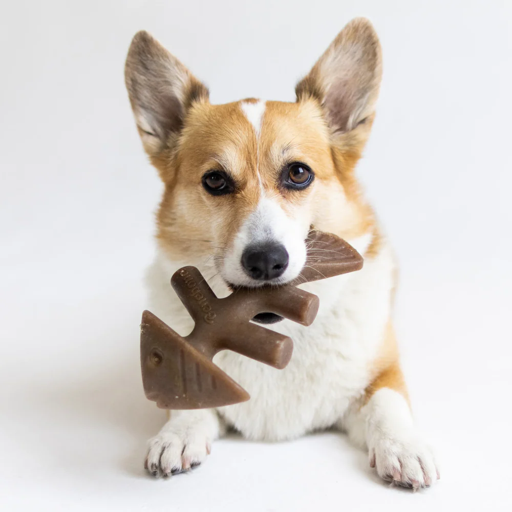 Benebone Jack Salmon Flavored Fishbone Chew Toy for Dogs - Image 2