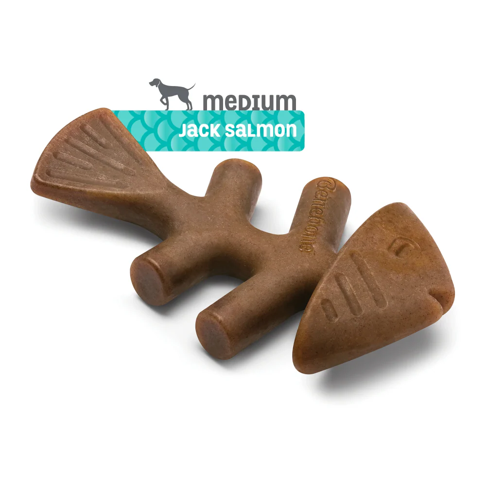 Benebone Jack Salmon Flavored Fishbone Chew Toy for Dogs - Image 4