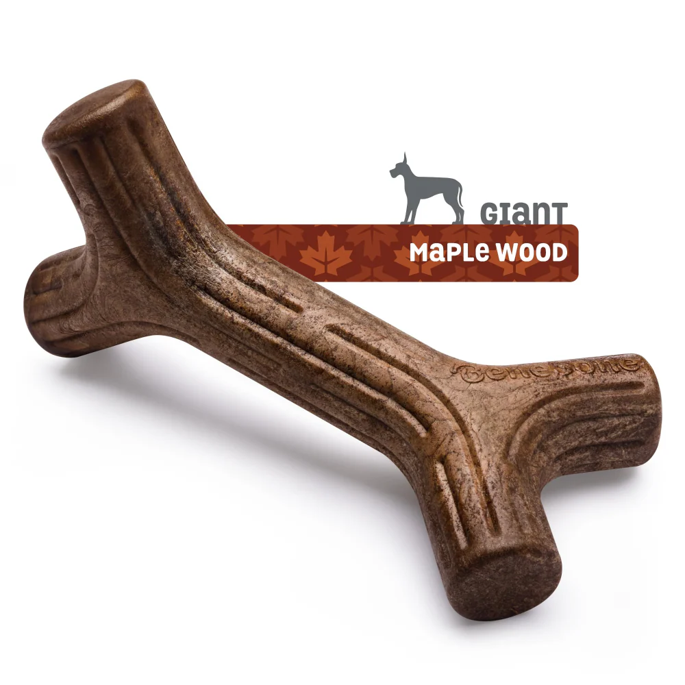 Benebone Maple Wood Flavored Stick Chew Toy for Dogs - Image 4